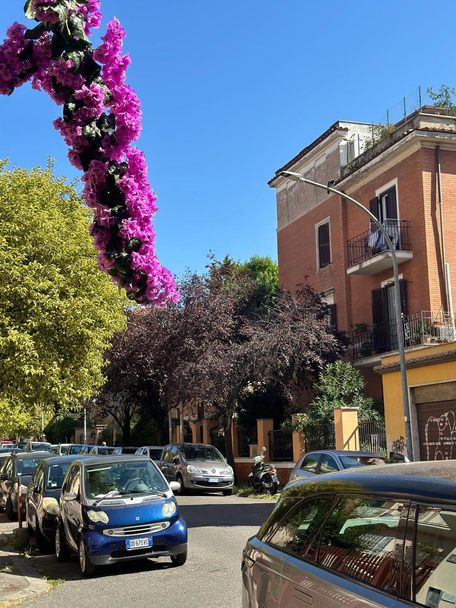 Trastevere Gianicolense Casa Con Giardino Рим Экстерьер фото